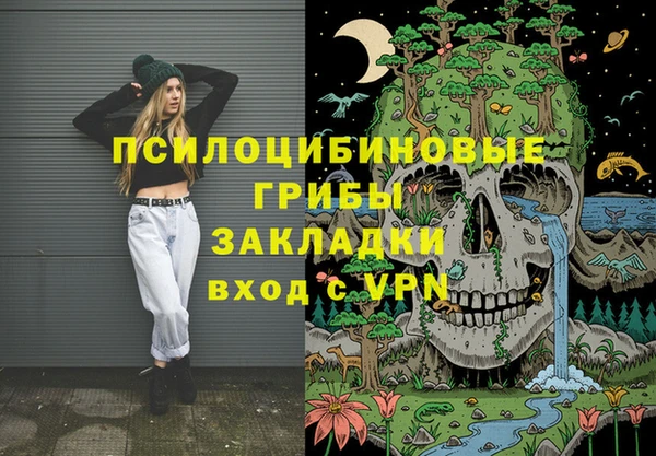 ГАЛЛЮЦИНОГЕННЫЕ ГРИБЫ Елабуга