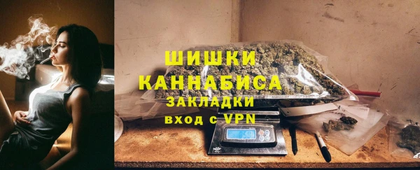 ГАЛЛЮЦИНОГЕННЫЕ ГРИБЫ Елабуга