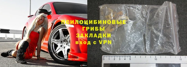 ГАЛЛЮЦИНОГЕННЫЕ ГРИБЫ Елабуга