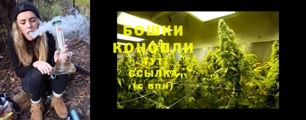 ГАЛЛЮЦИНОГЕННЫЕ ГРИБЫ Елабуга