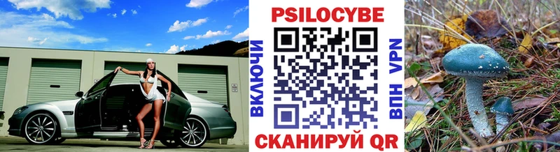 цены наркотик  Саянск  hydra tor  Псилоцибиновые грибы мухоморы 